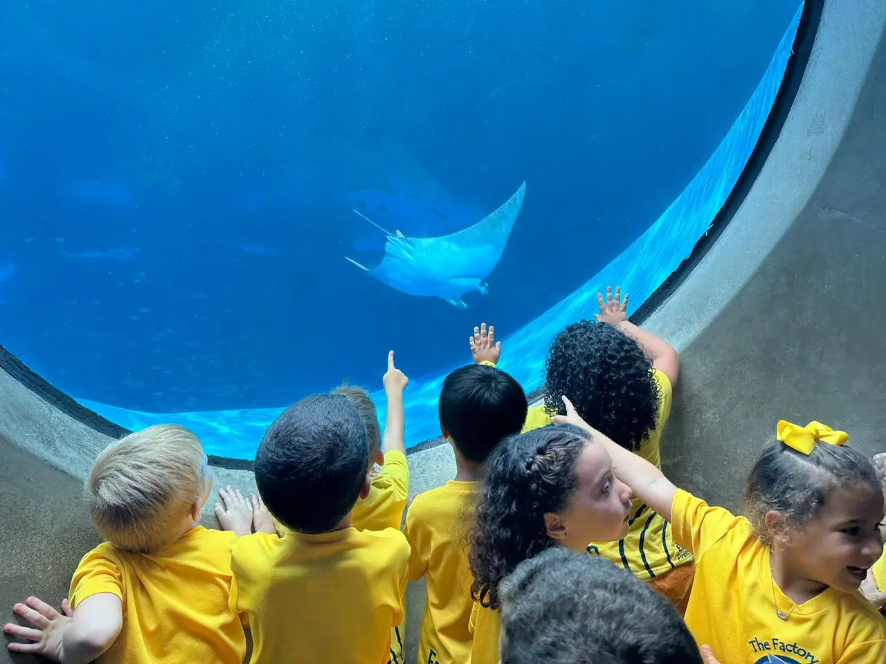 Children looking at a manta ray swimming in a large aquarium tank during a field trip