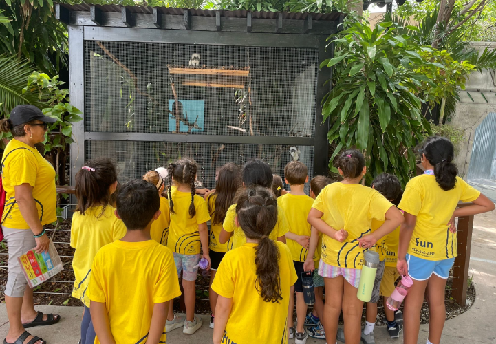 A group of students in yellow shirts observing animals inside an enclosure during a field trip